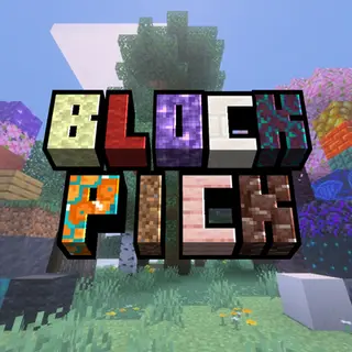 BlockPick: Use thier Style!
