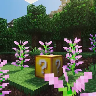 Eco's Lucky Blocks