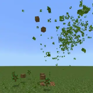 Tunekeshi’s Tree Harvest