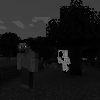 entity 303