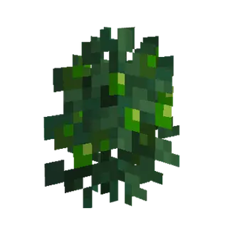 XP Expansion