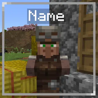 Villager Names