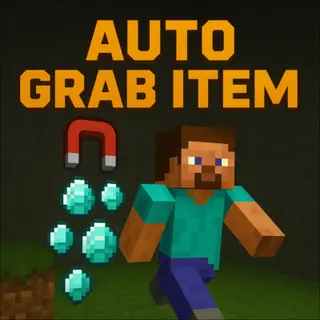 auto grab item (no player.json + experiments)