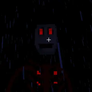 The Watcher