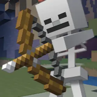 Java Skeletons