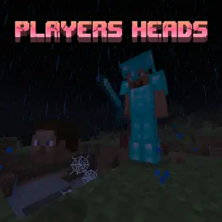 H- Players Heads