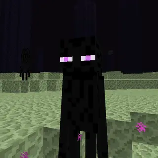 Java Enderman