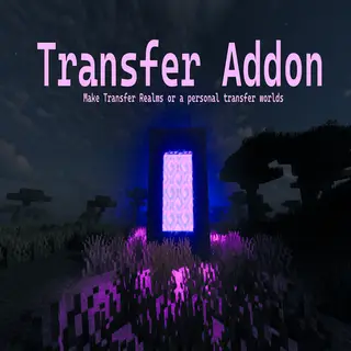 ServerTransfer
