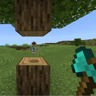 Drops Randomizer