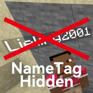 NameTagHidden