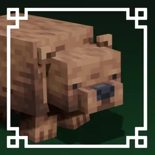 The Grizzly Bear