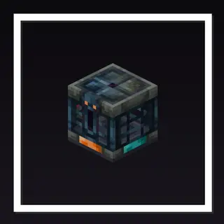 Infinite Vault Reset