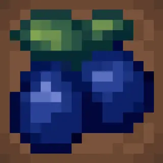 Inkberries (New Wild Berries)