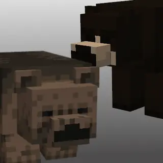 Black and Grizzly Bear Addon