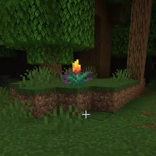 Glowing Torchflower Block