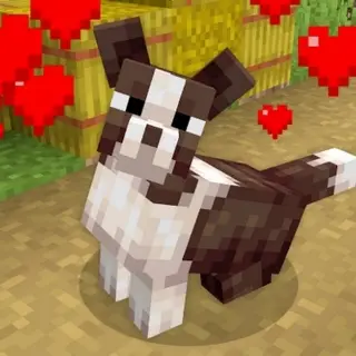 Dogs Expansion