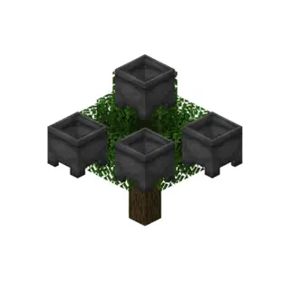 Cauldron Trees