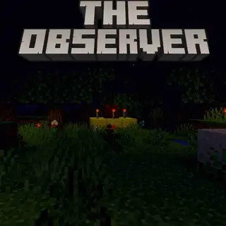 The Observer