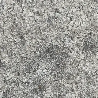 Guard [BEDROCK]