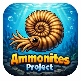 Ammonites Project