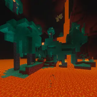 Spawn in the Nether