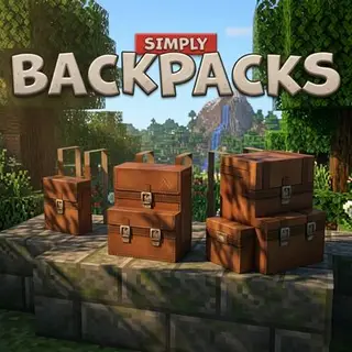 BACKPACKS
