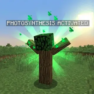 Photosynthesis