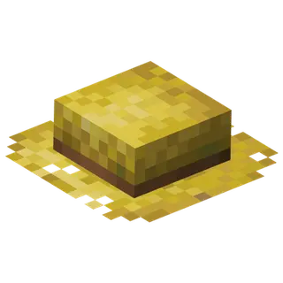 Villager Attire