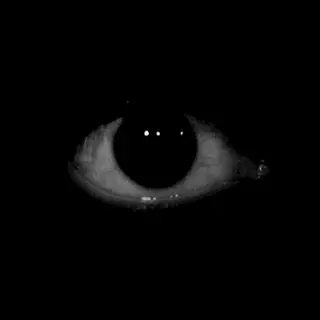 Elder Eye