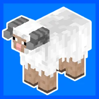 Immersive Sheep