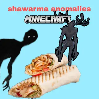 SCARY SHAWARMA anomalies