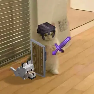 pirate sword