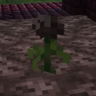 Potion of Decay Recipe