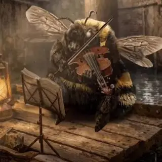 Aria Math: Violin Cover Disc