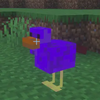 Mango Birds