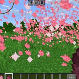 Cherry blossom STORM recall