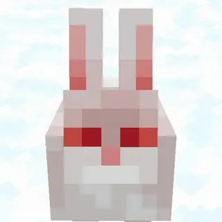 Killer Rabbit here