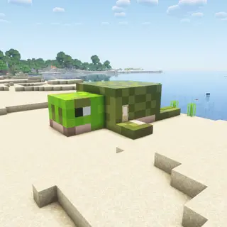 Turtle House Bedrock Port