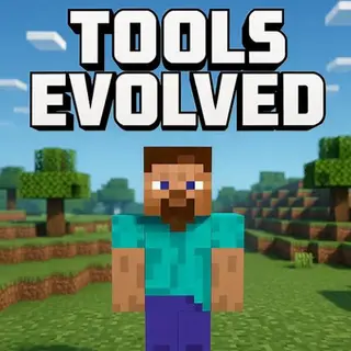 Tools Evolved