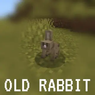 OLD RABBIT