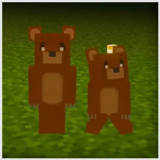 Little Bear Friend