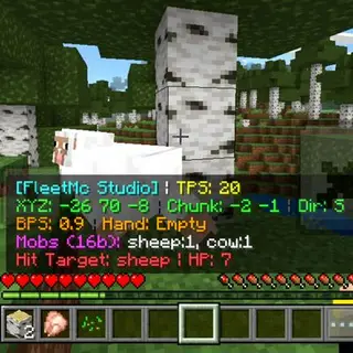 Java Debug Menu PE/BE