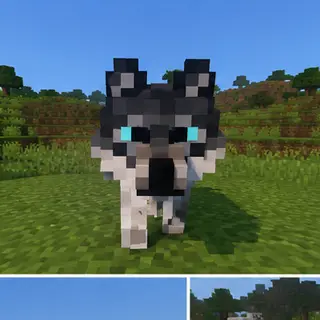 Bakarwal Guardian Dogs