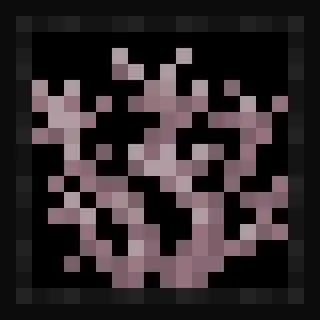 Colorful Coral ◦ Bedrock Edition