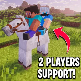 Two Players On Horse