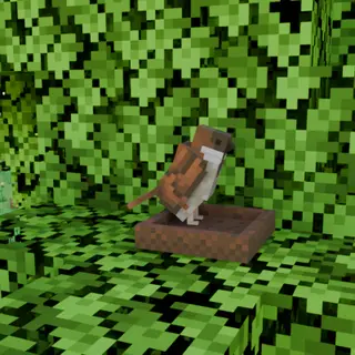Sparrow
