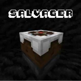 Salvager