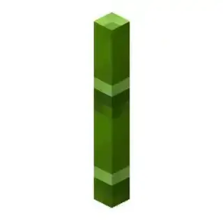 More Bamboo Stuf