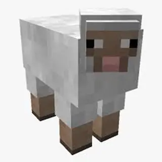 Minute Morph