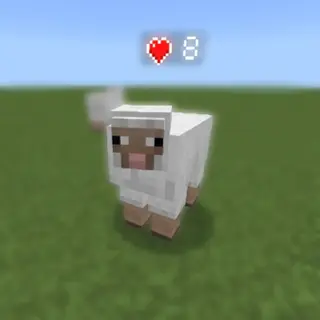 Health Tracker